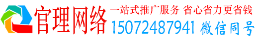 成武官理百度网络推广